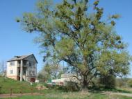 В'язове з panoramio.com