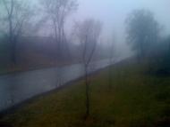 Зибкове з panoramio.com