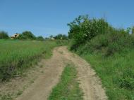 Нова Прага з panoramio.com