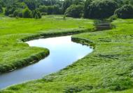 Шапіївка з panoramio.com