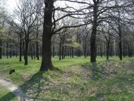 Микитяни з panoramio.com