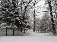 Понінка з panoramio.com