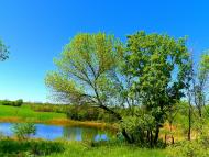 Велика Мартинівка з panoramio.com