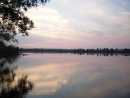 Грибенинка з panoramio.com