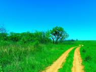 Велика Мартинівка з panoramio.com
