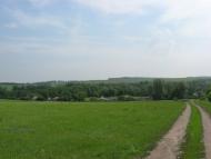 Кинашове з panoramio.com