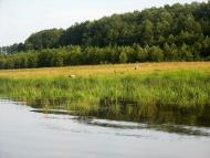 Березова Гать з panoramio.com