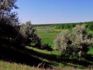 Матроно-Василівка - Останні фото