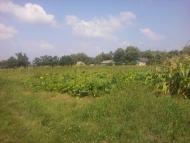 Терехівка з panoramio.com