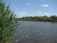 Новокатеринівка - Останні фото