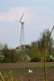 Булаї з panoramio.com