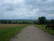 Дубляни з panoramio.com