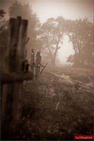 Займище з panoramio.com