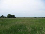 Великі Переліски з panoramio.com