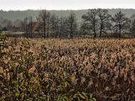 Раковець з panoramio.com