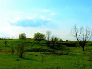Шимшинівка з panoramio.com