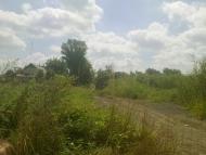 Сергіївка з panoramio.com