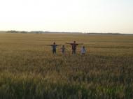 Кодаки з panoramio.com