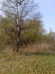 Перекопівка з panoramio.com