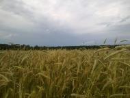 Клишки з panoramio.com