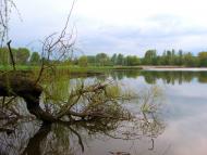 Агрономічне з panoramio.com