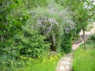 Велика Балка з panoramio.com