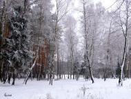 Смига з panoramio.com