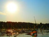 Топільне з panoramio.com