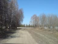 Нестерівці з panoramio.com