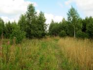 Деревини з panoramio.com