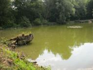 Рибальське з panoramio.com