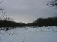 Підлісне з panoramio.com - Подлесное