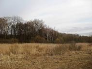 Рубанка з panoramio.com