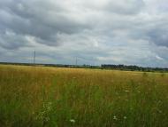 Вирка з panoramio.com