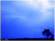 Кринички з panoramio.com