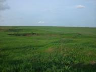 Доброжанове з panoramio.com