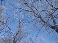 Усатове з panoramio.com