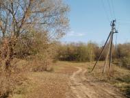 Бджільна з panoramio.com