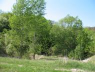 Аркадівка з panoramio.com