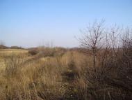 Весняне з panoramio.com