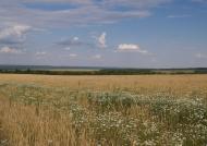 Глибока Долина - Останні фото