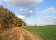 В'язове з panoramio.com