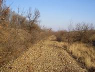 Весняне - Останні фото