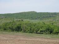 Айдар-Миколаївка з panoramio.com