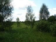 Рудка з panoramio.com