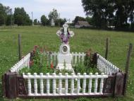 Товстоліс з panoramio.com