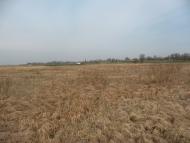 Добрятин з panoramio.com