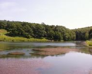 Моначинівка з panoramio.com