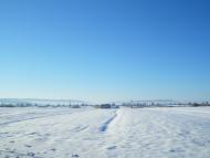 Підсоснів з panoramio.com