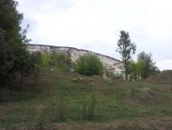 Бахтинок з panoramio.com